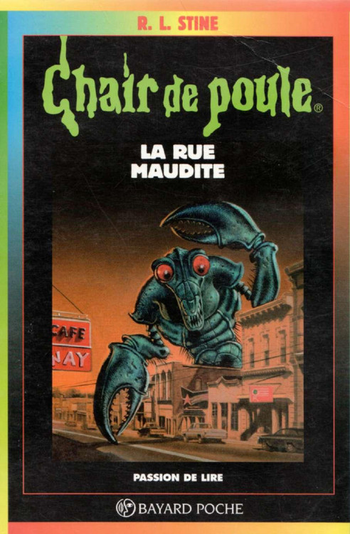 Chair de poule - N° 28 - La rue maudite