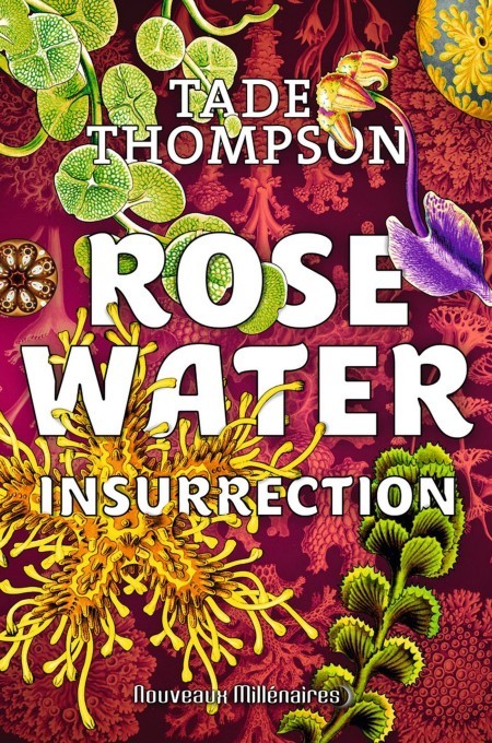 Insurrection