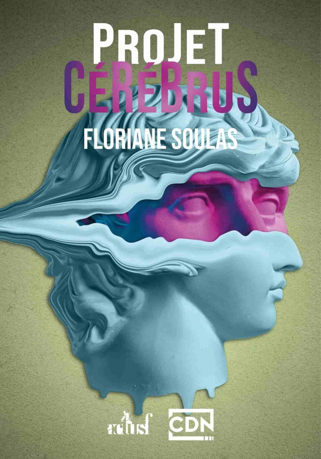 Projet cérébrus