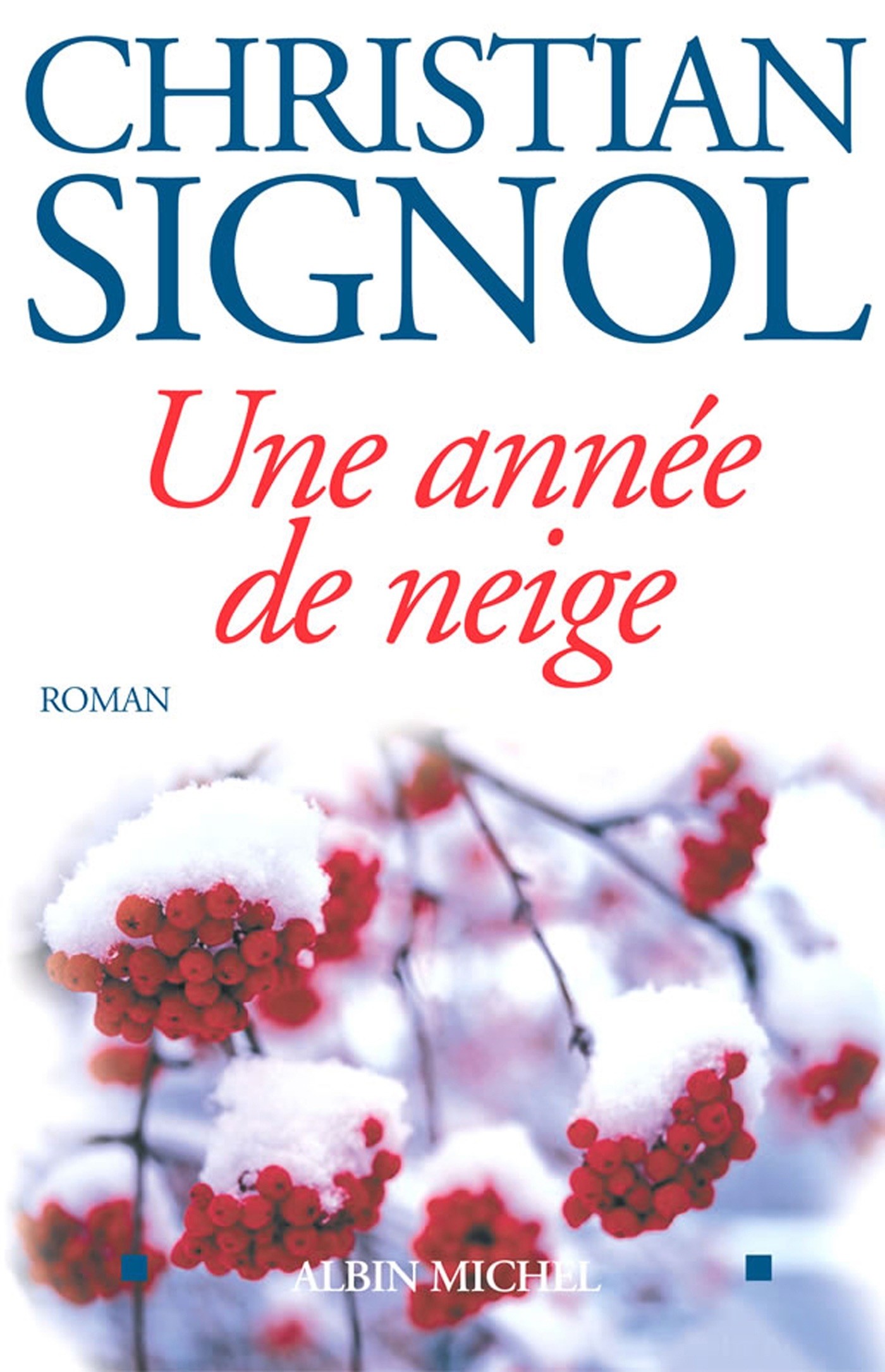 Une année de neige: Roman