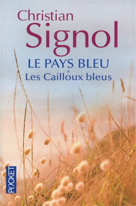 Les cailloux bleus